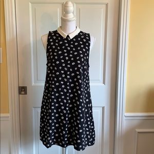 Forever 21 Contrast Collar A Line Dress